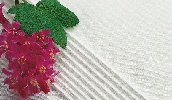 9 biesetrykfod – trykfod til præcis syning af parallelle bieser og dekorative detaljer